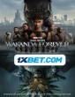 Black Panther Wakanda Forever (2022) Tamil Dubbed Movie
