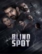 Blind Spot (2025) Malayalam Movie